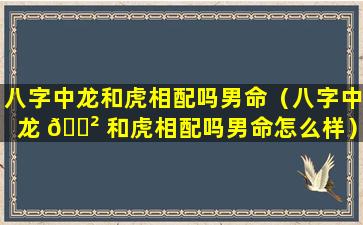 八字中龙和虎相配吗男命（八字中龙 🌲 和虎相配吗男命怎么样）